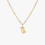Zodiac Harmony Charm Necklace